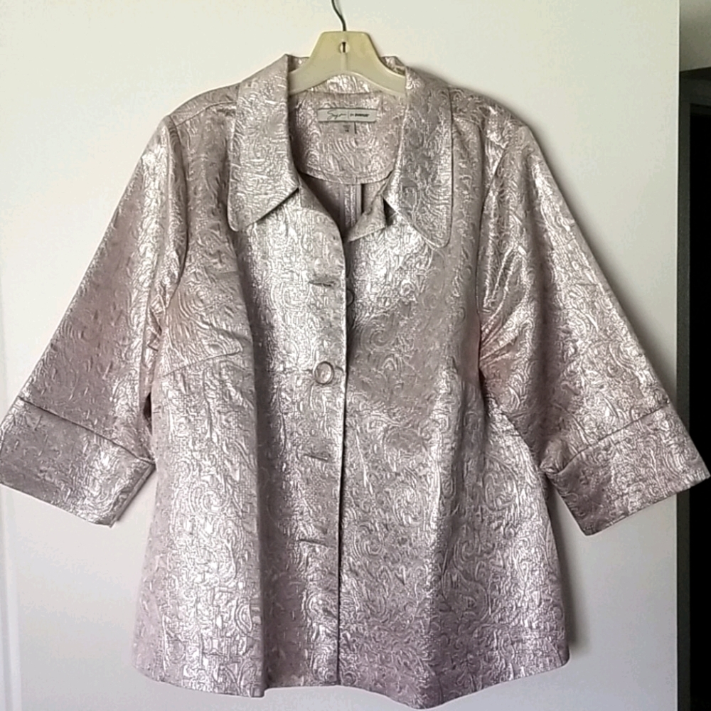 Jacket Silver hip length